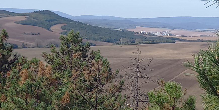 Túrázz egy jót velünk a Nyakason!