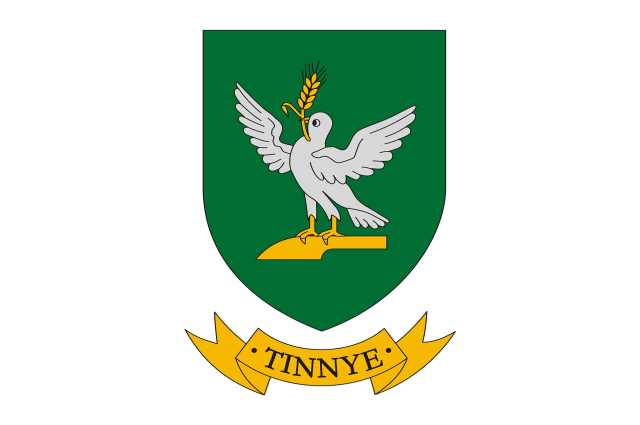 Tinnye