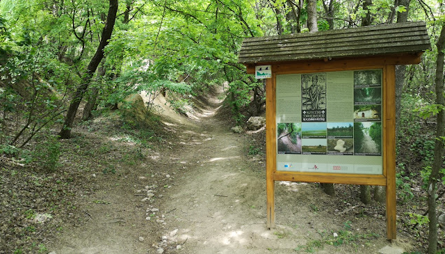 GARANTÁLT VEZETETT TÚRÁZÁS A TURIZMUS VILÁGNAPJA ALKALMÁBÓL – ZSÁMBÉK- 10.01.
