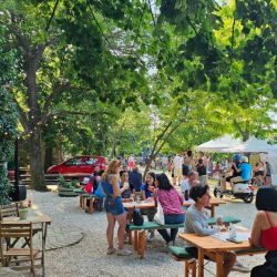 Januári Pátyi Pincehegyi Nyitogató