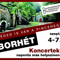 4. Pátyi Élőzenés Pincehegyi Borhét