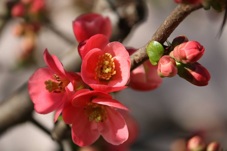 Zsámbéki Művelődési Ház, Könyvtár és Muzeális Gyűjtemény - Áprilisi programok